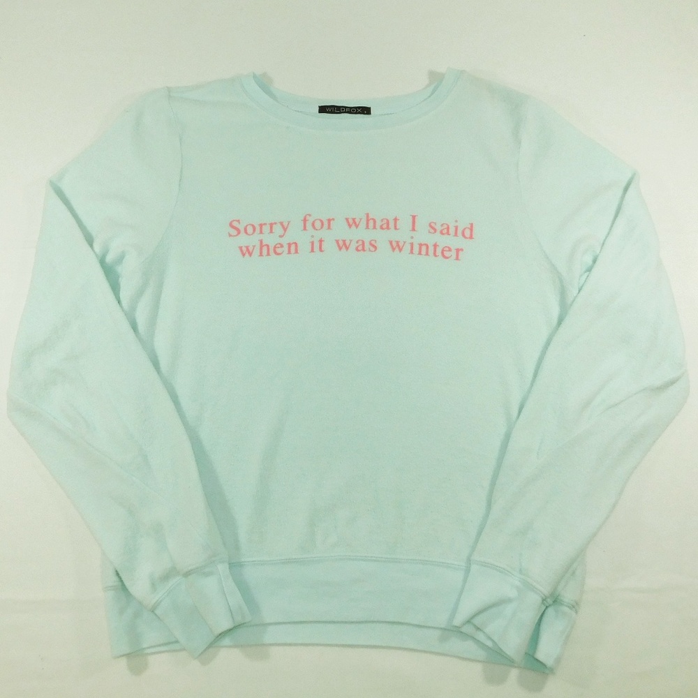 Wildfox Pastel Blue Winter Sweatshirt, Small